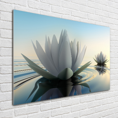 Foto obraz akrylové sklo Květ lotosu