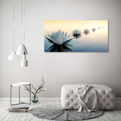 Moderní obraz fotografie na akrylu Květiny lotosu