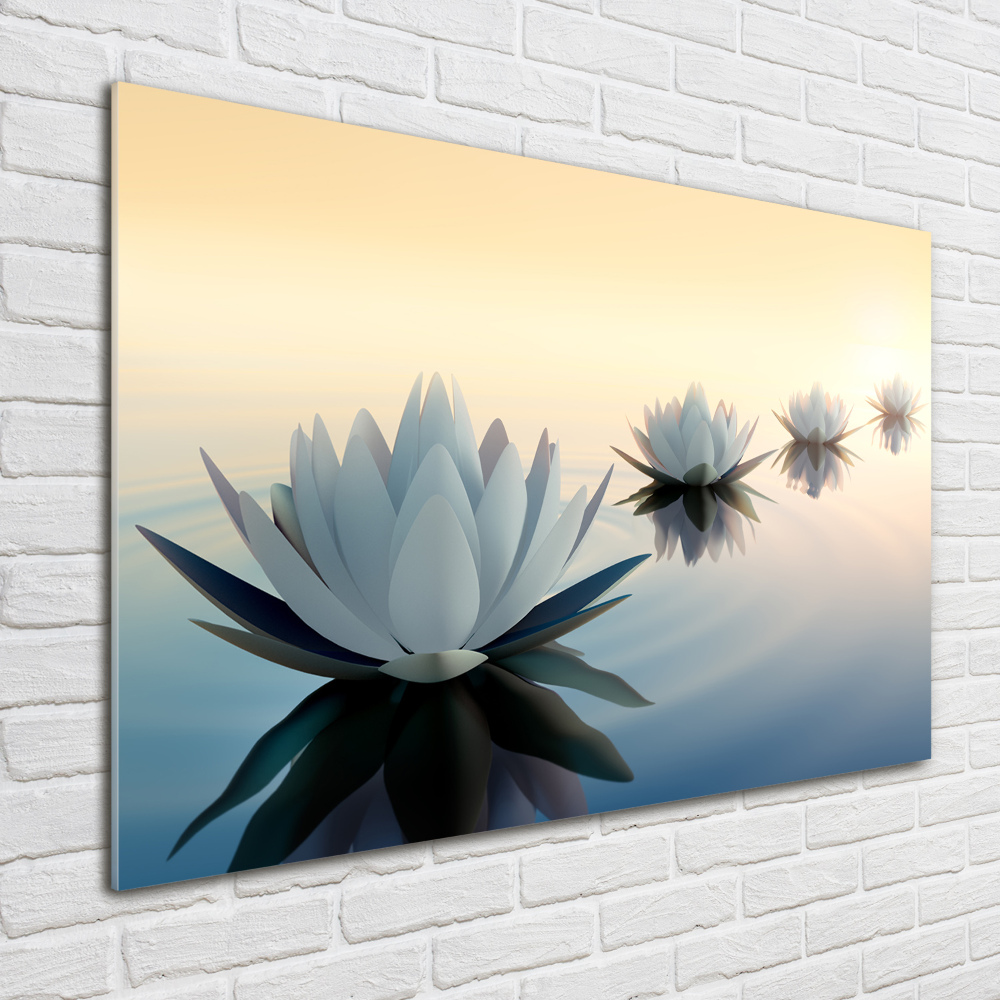 Moderní obraz fotografie na akrylu Květiny lotosu