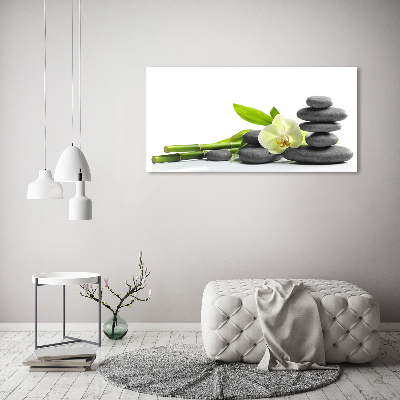 Foto obraz akrylový do obýváku Orchidej