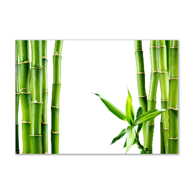 Moderní akrylový fotoobraz Bambus