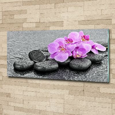 Moderní obraz fotografie na akrylu Orchidej kamení