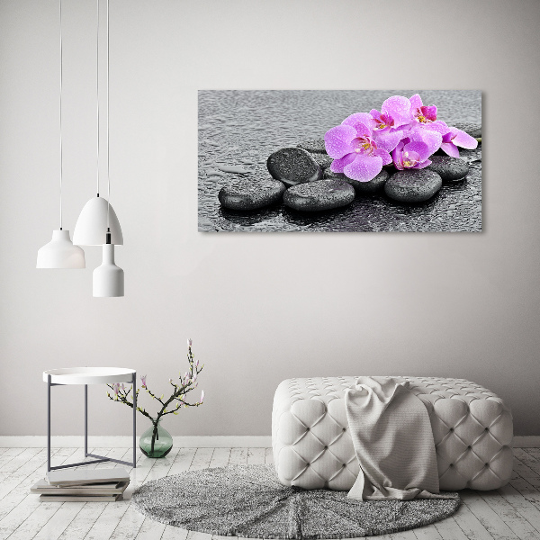 Moderní obraz fotografie na akrylu Orchidej kamení