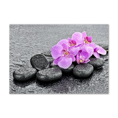 Moderní obraz fotografie na akrylu Orchidej kamení