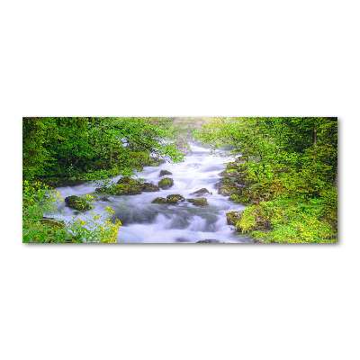 Foto obraz akryl do obýváku Horská řeka