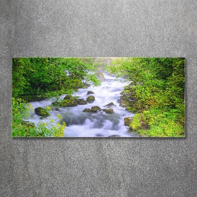 Foto obraz akryl do obýváku Horská řeka