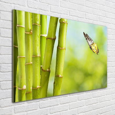 Foto obraz akrylový do obýváku Bambus a motýl