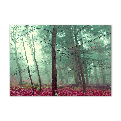 Foto obraz akryl do obýváku Podzimní listí