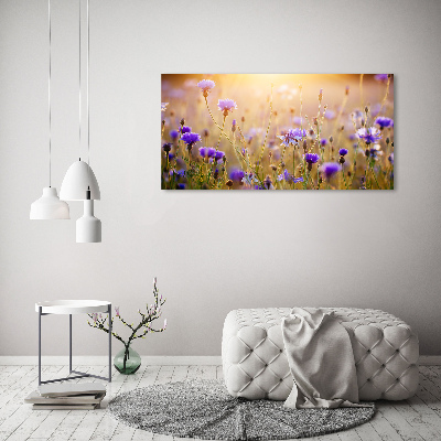 Foto obraz akrylový do obýváku Plolní květiny