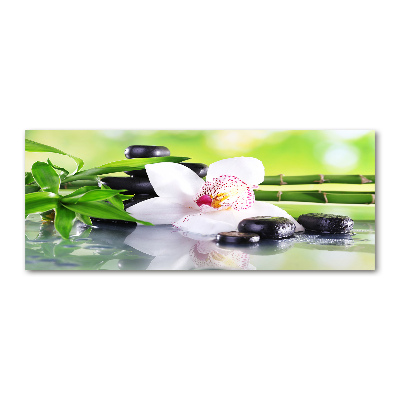 Foto obraz akrylové sklo Orchidej