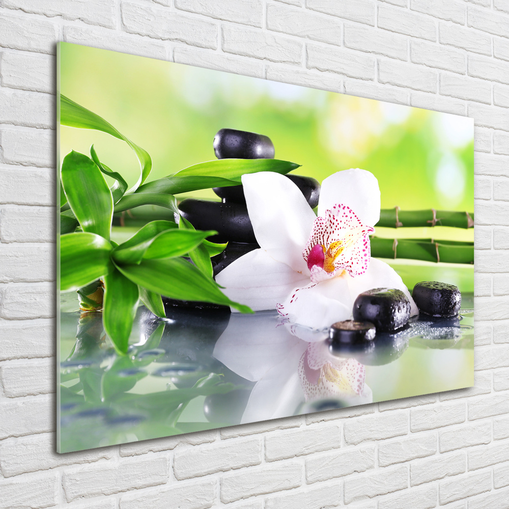 Foto obraz akrylové sklo Orchidej