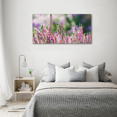 Foto obraz akrylový do obýváku Květy vřesu