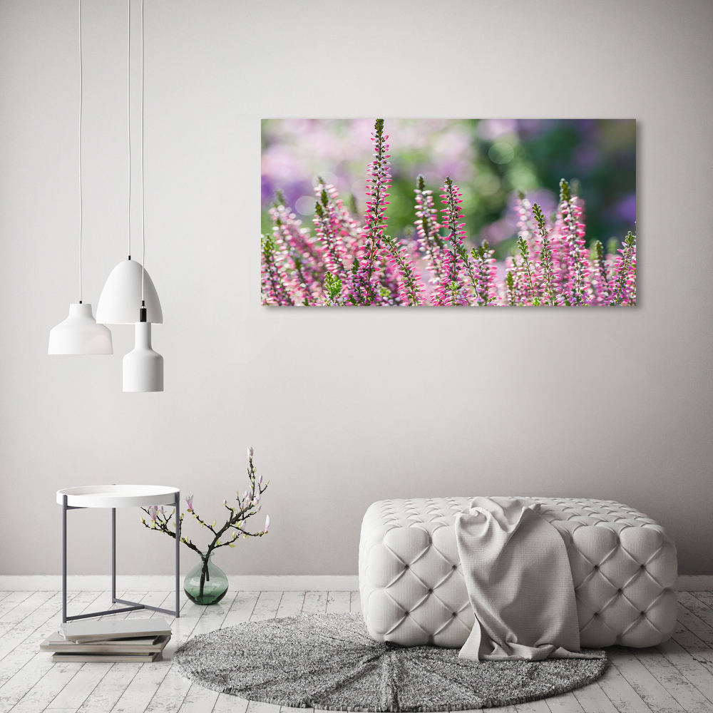 Foto obraz akrylový do obýváku Květy vřesu