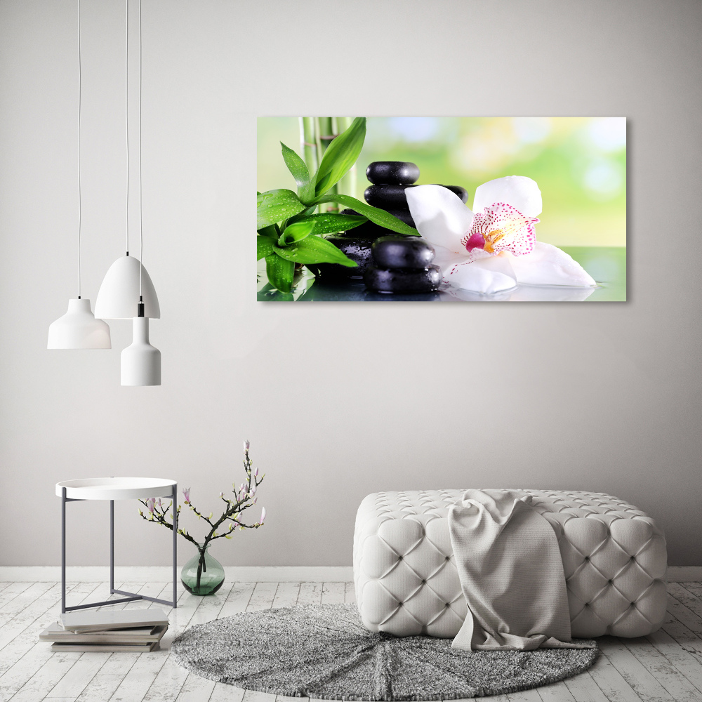 Foto obraz akrylový do obýváku Orchidej