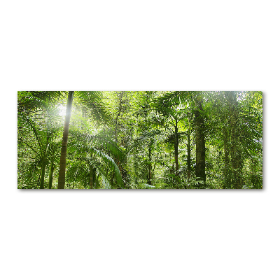 Foto obraz akrylové sklo Tropický les