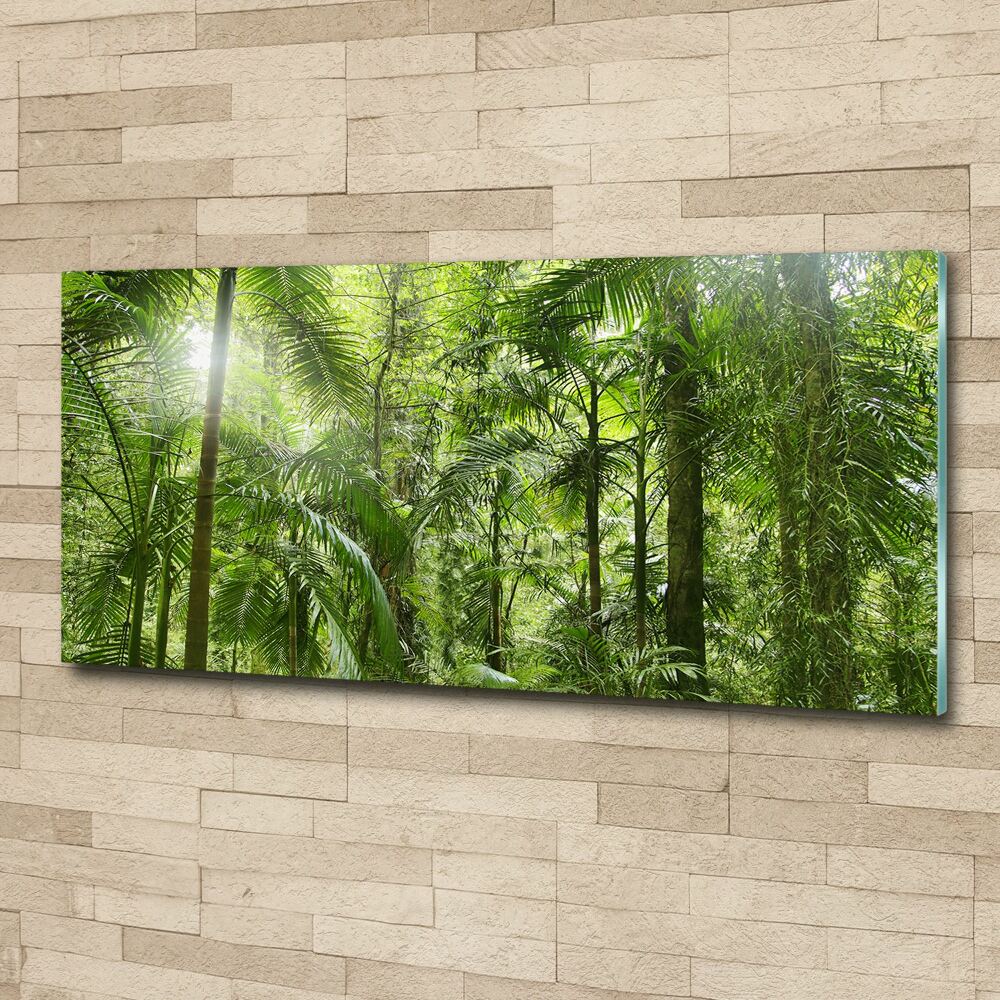 Foto obraz akrylové sklo Tropický les