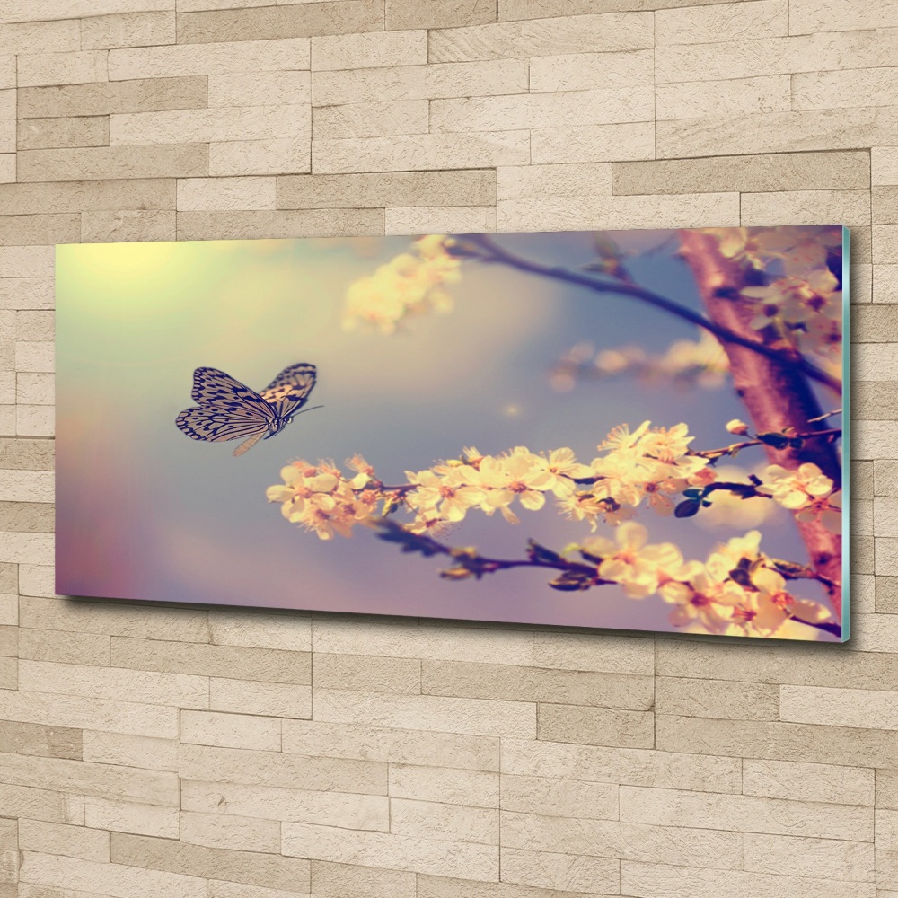 Moderní obraz fotografie na akrylu Květ viště a motýl