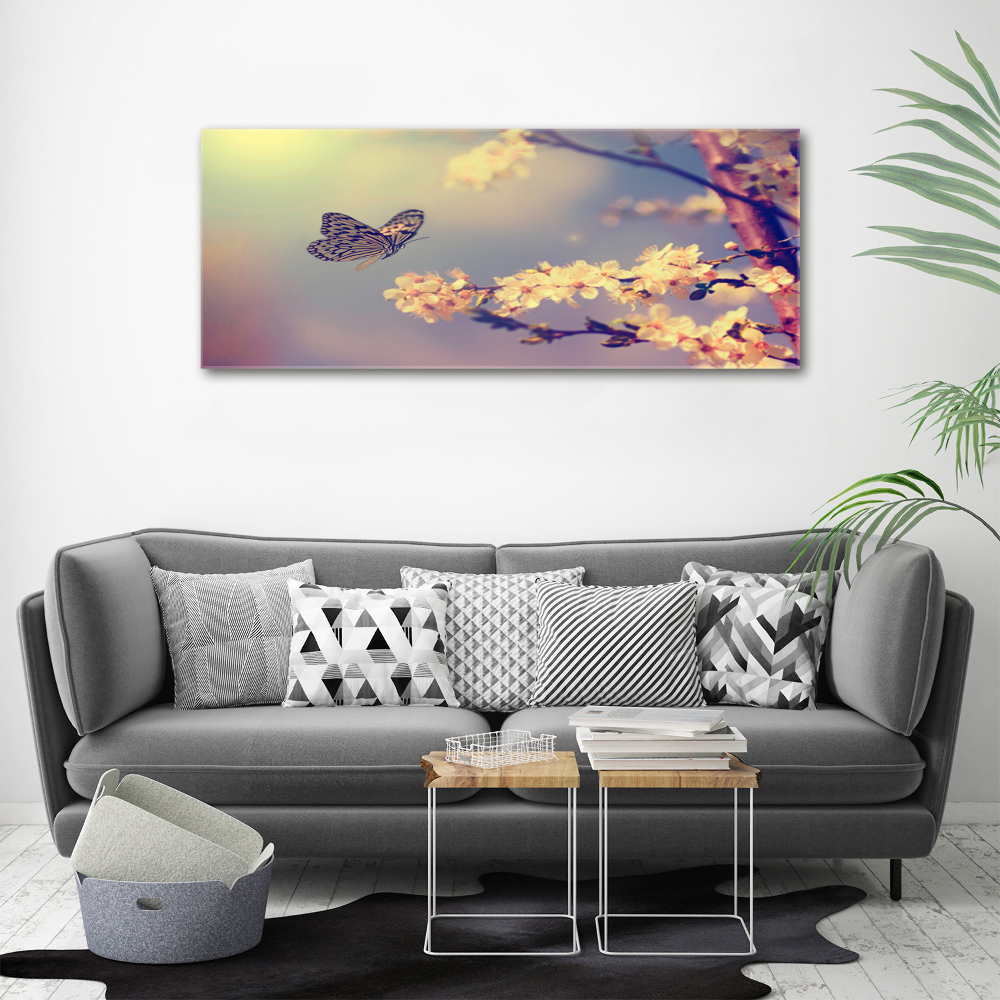 Moderní obraz fotografie na akrylu Květ viště a motýl