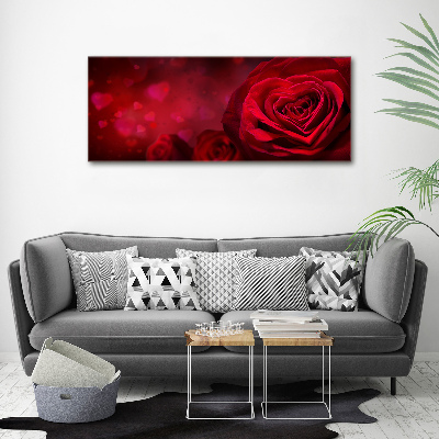 Foto obraz akryl do obýváku Červená růže srdce