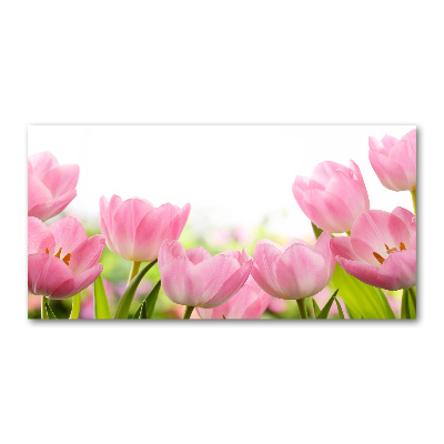 Foto obraz akrylové sklo Růžové tulipány
