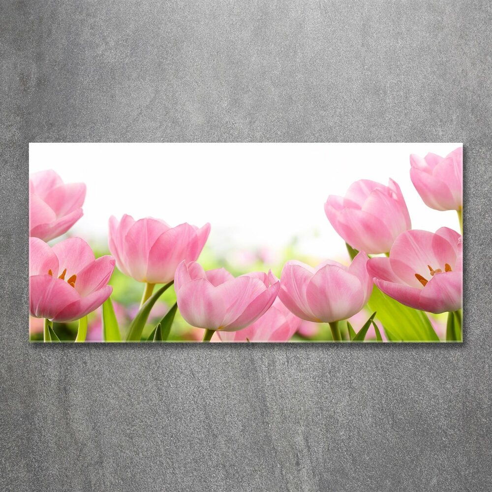 Foto obraz akrylové sklo Růžové tulipány