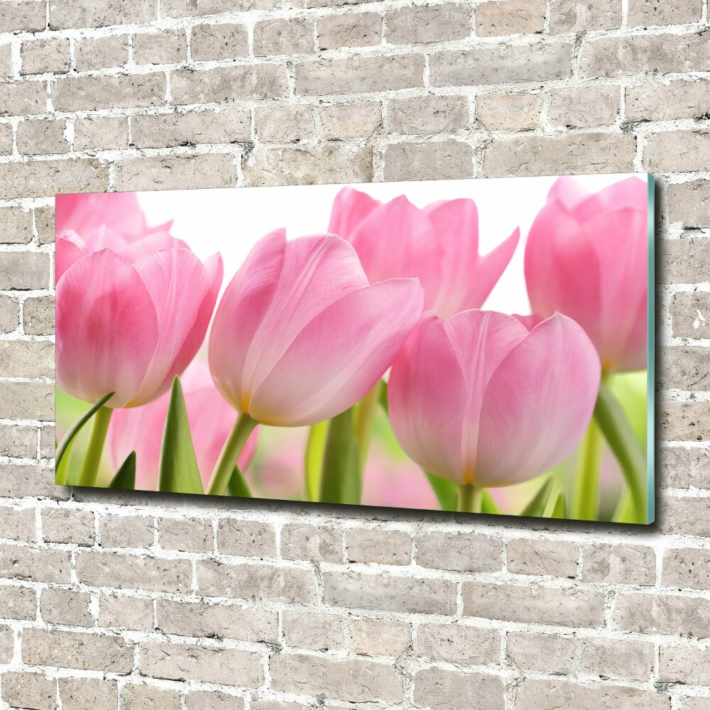 Foto obraz akrylový do obýváku Růžové tulipány