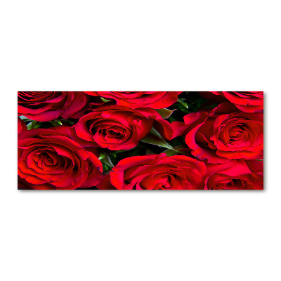 Foto obraz akrylový na stěnu Červené růže