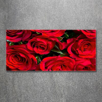Foto obraz akrylový na stěnu Červené růže