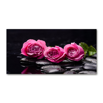 Foto obraz akrylové sklo Růžové růže