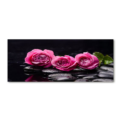 Foto obraz akrylové sklo Růžové růže