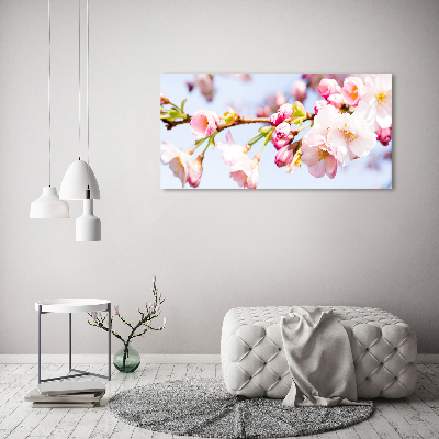 Foto obraz akrylový Květy višně