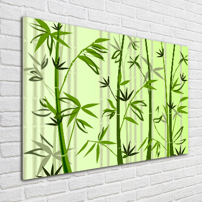 Foto obraz akrylový Bambus
