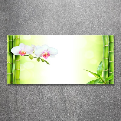 Foto obraz akrylový do obýváku Orchidej a bambus