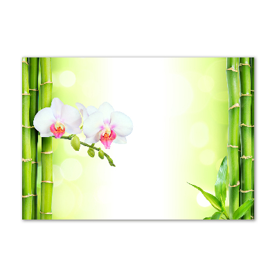 Foto obraz akrylový do obýváku Orchidej a bambus