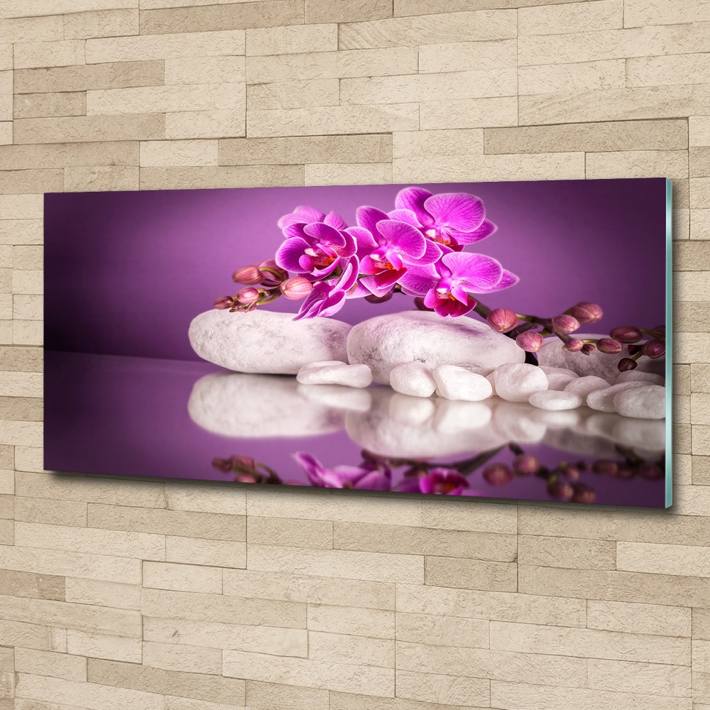 Moderní obraz fotografie na akrylu Růžová orchidej