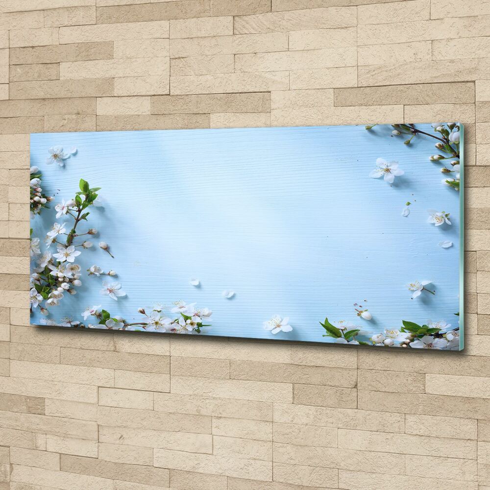 Foto obraz akrylový Květy višně pozadí