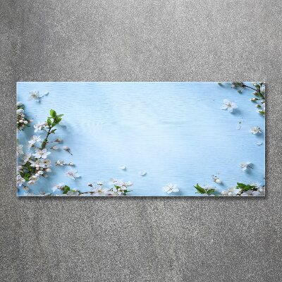 Foto obraz akrylový Květy višně pozadí