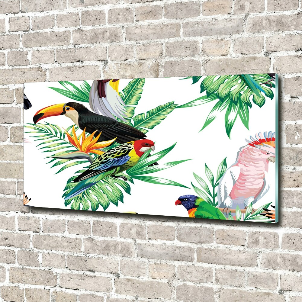 Foto obraz akrylový na stěnu Tropičtí ptáci