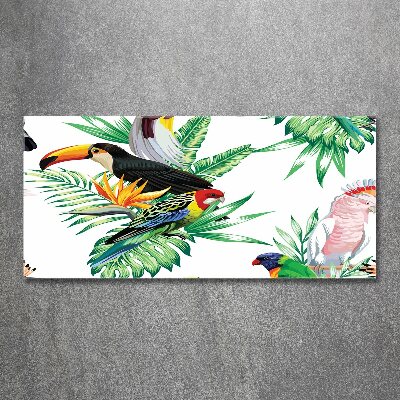Foto obraz akrylový na stěnu Tropičtí ptáci