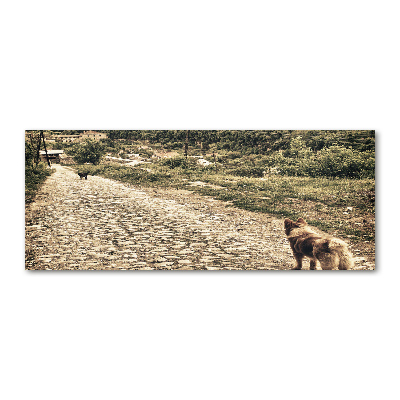 Foto obraz akrylové sklo Dva psi na kopci