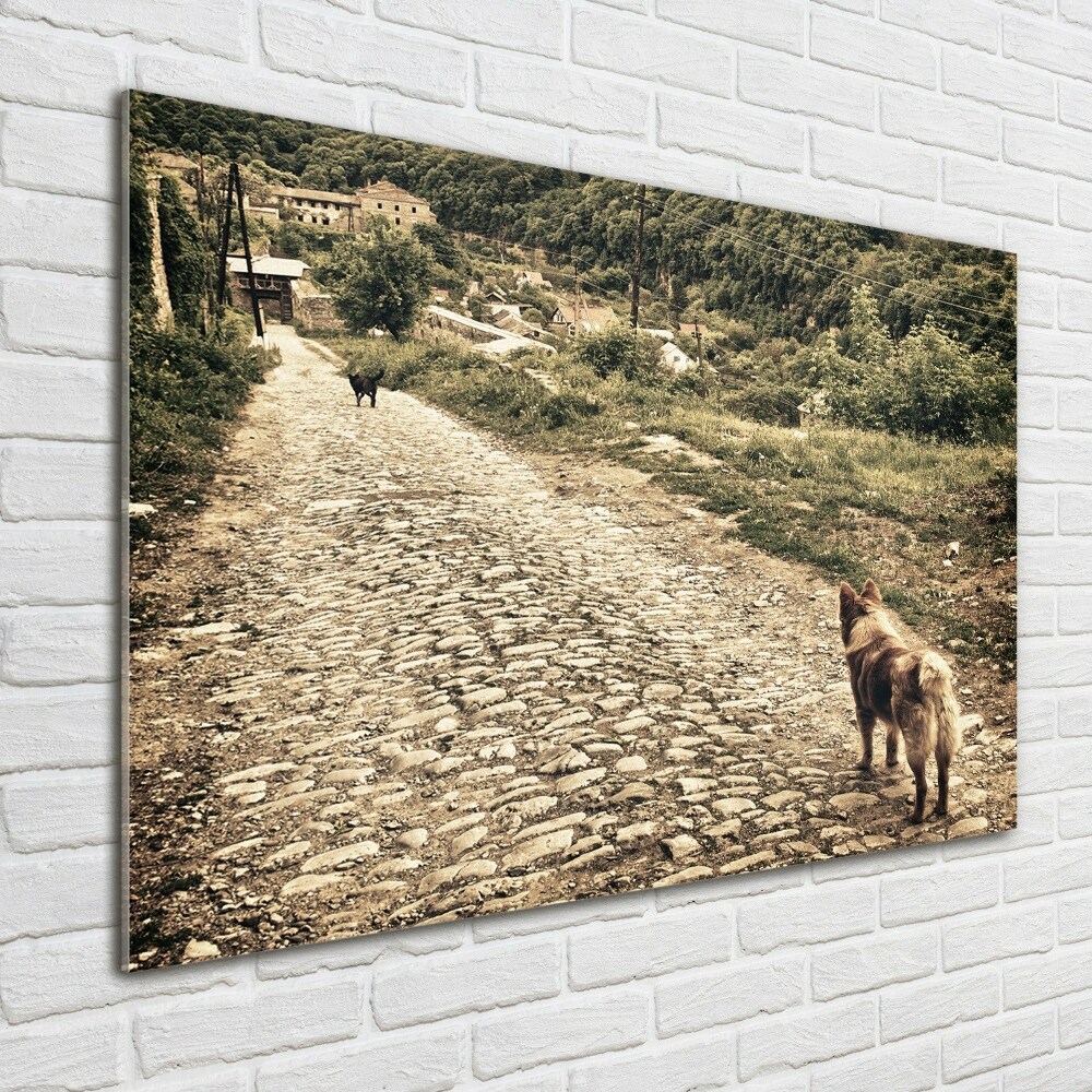 Foto obraz akrylové sklo Dva psi na kopci