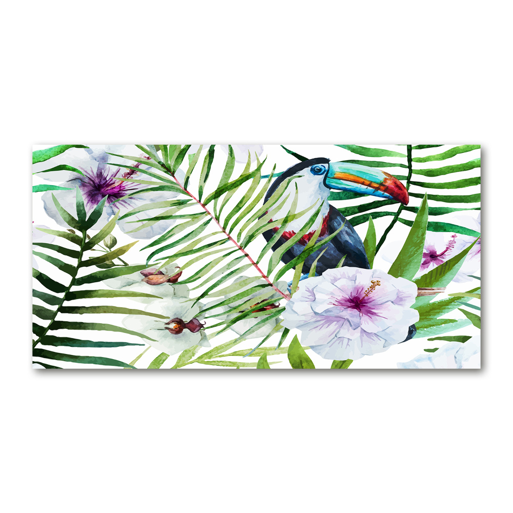 Foto obraz akrylový Tukan tropy