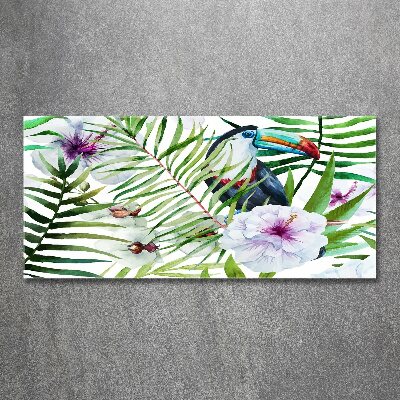 Foto obraz akrylový Tukan tropy