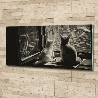 Foto obraz akrylový Kočky při okně