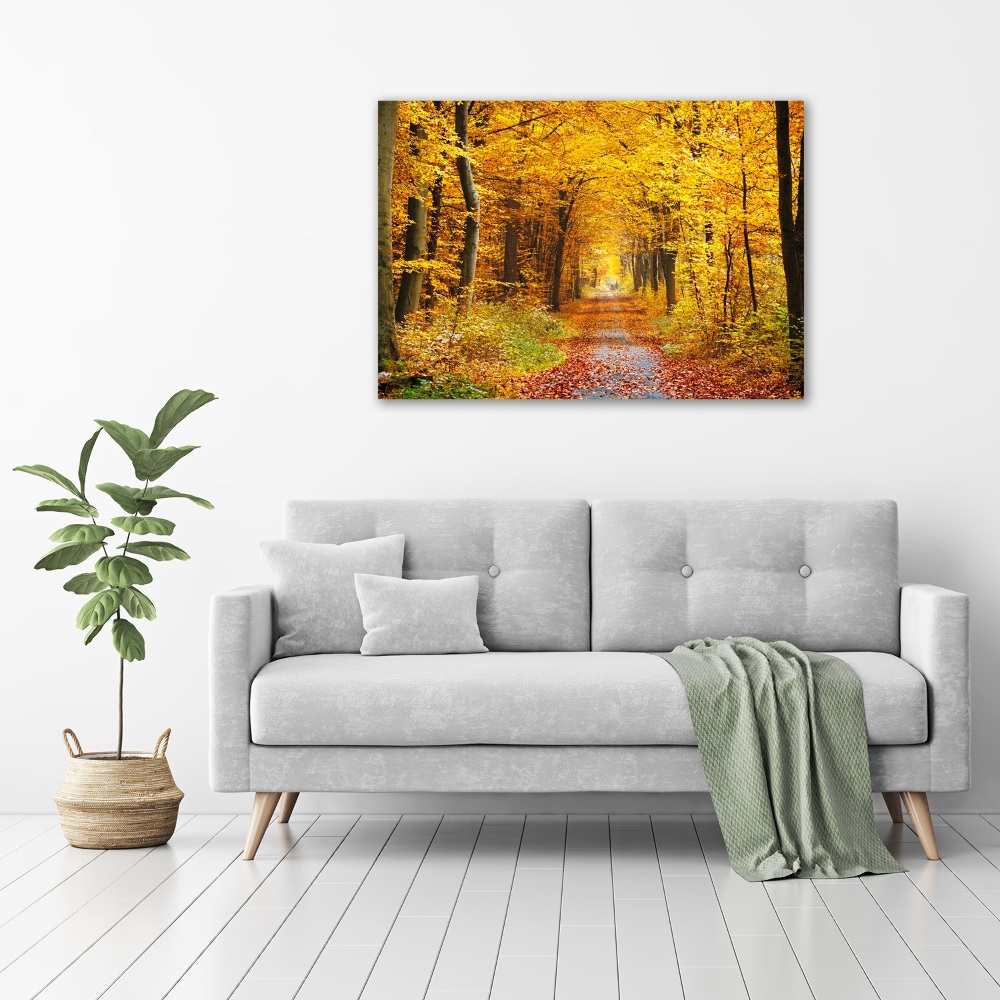 Foto obraz akrylový Podzimní les