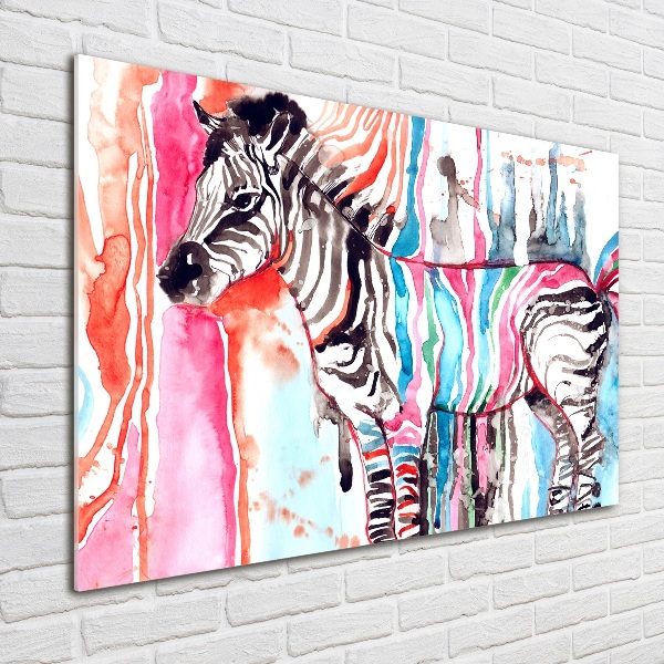 Foto obraz akrylový Barevná zebra