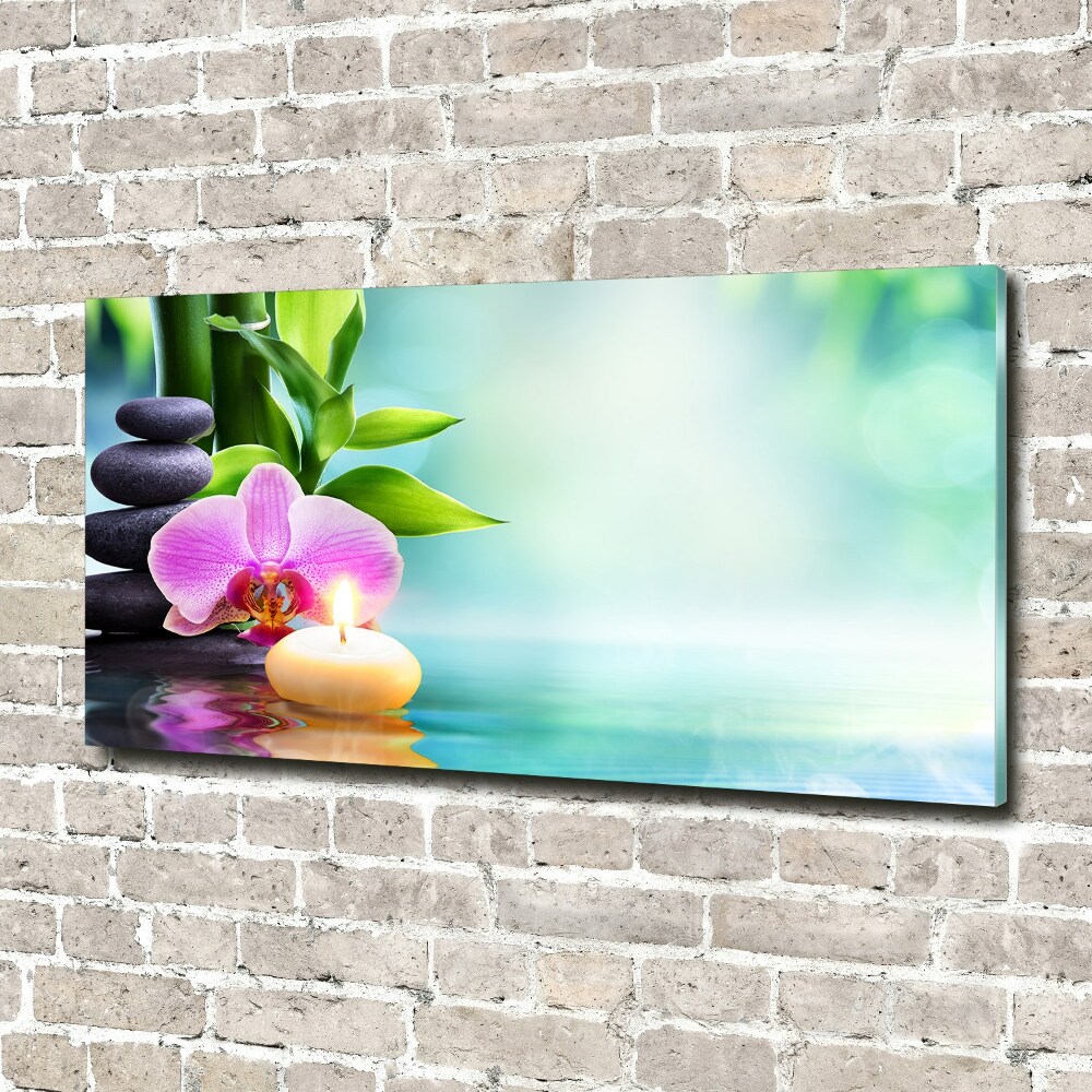 Foto obraz akryl do obýváku Orchidej bambus