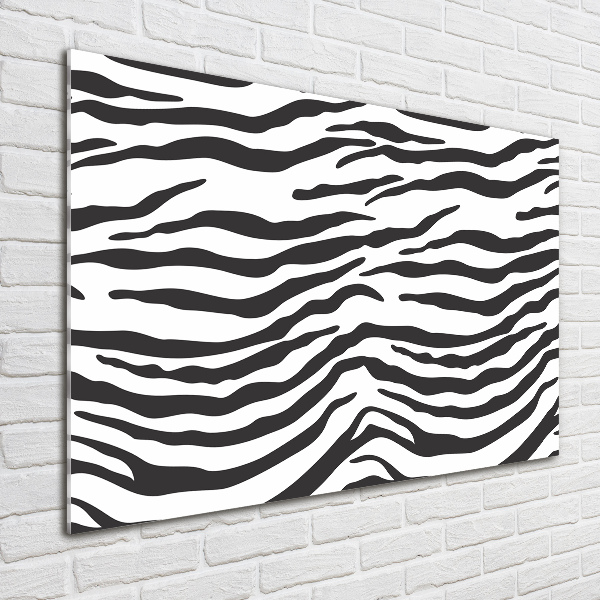 Foto obraz akryl do obýváku Zebra pozadí