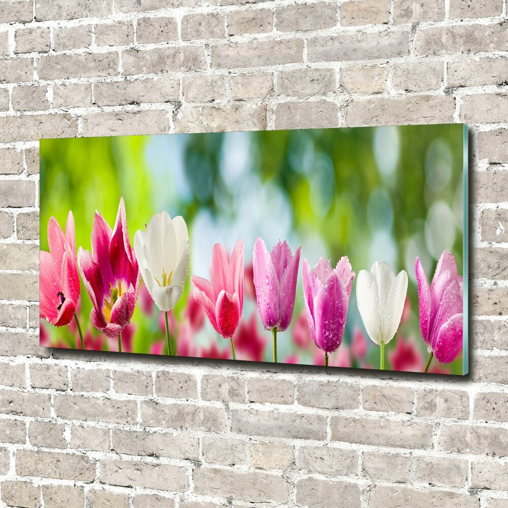 Moderní akrylový fotoobraz Tulipány