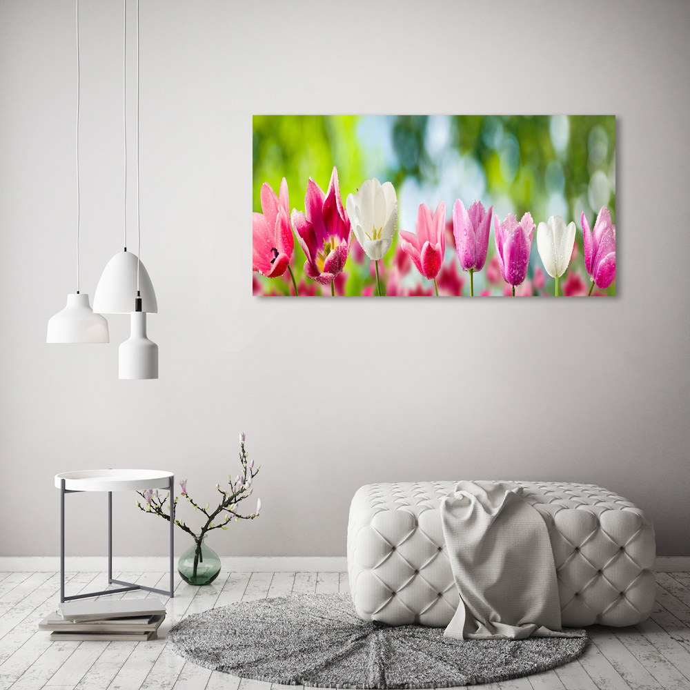 Moderní akrylový fotoobraz Tulipány